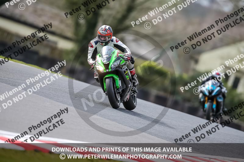 Oulton Park 21st March 2020;PJ Motorsport Photography 2020;anglesey;brands hatch;cadwell park;croft;donington park;enduro digital images;event digital images;eventdigitalimages;mallory;no limits;oulton park;peter wileman photography;racing digital images;silverstone;snetterton;trackday digital images;trackday photos;vmcc banbury run;welsh 2 day enduro